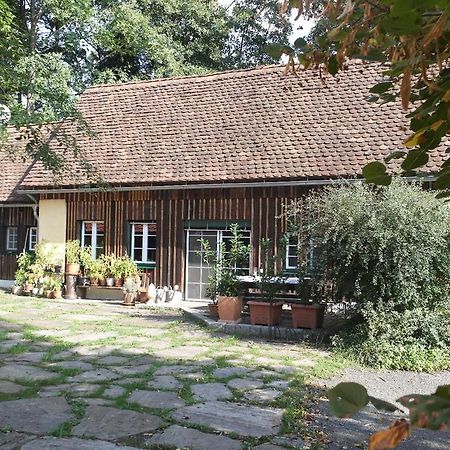 Presshaus Alte Muehle Villa Stainz Ngoại thất bức ảnh