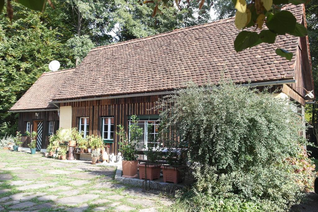 Presshaus Alte Muehle Villa Stainz Ngoại thất bức ảnh